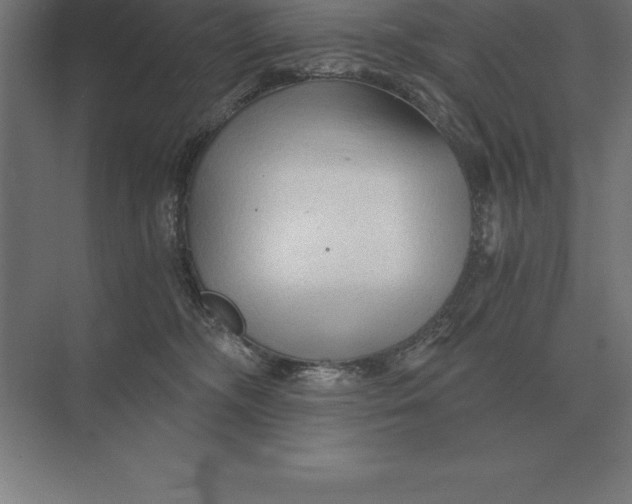 X0000073980326200609111814