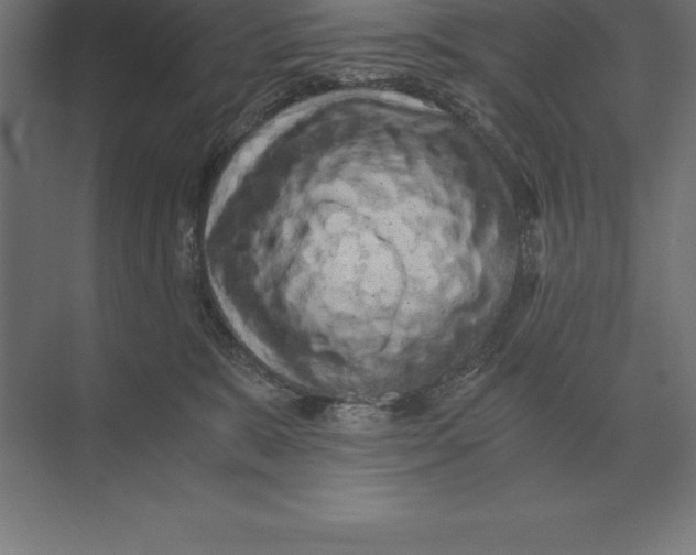 X0000073980327200609111814