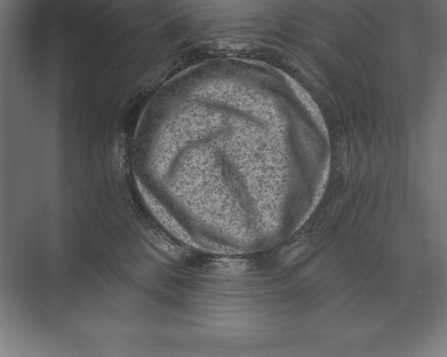 X0000073980328200609111814