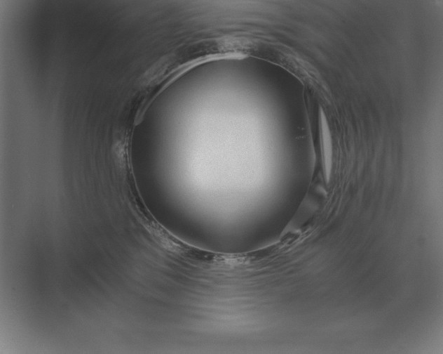 X0000073980329200609111814