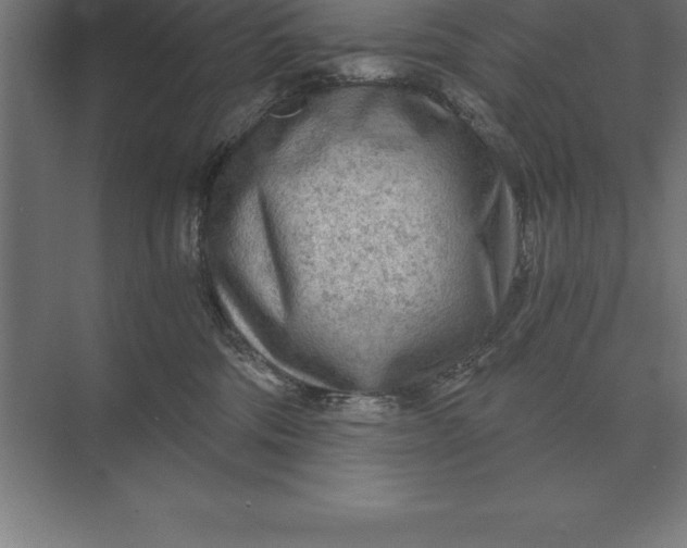 X0000073980330200609111814