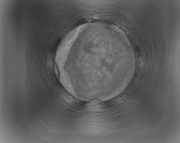 X0000073980331200609111814