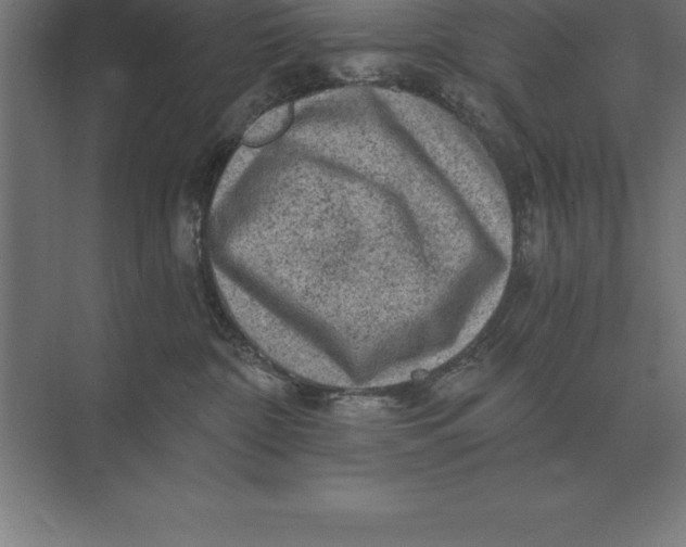 X0000073980332200609111814