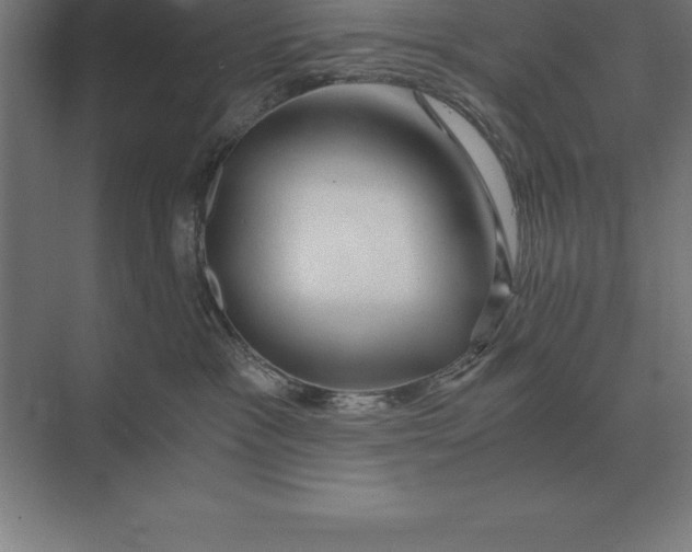 X0000073980333200609111814