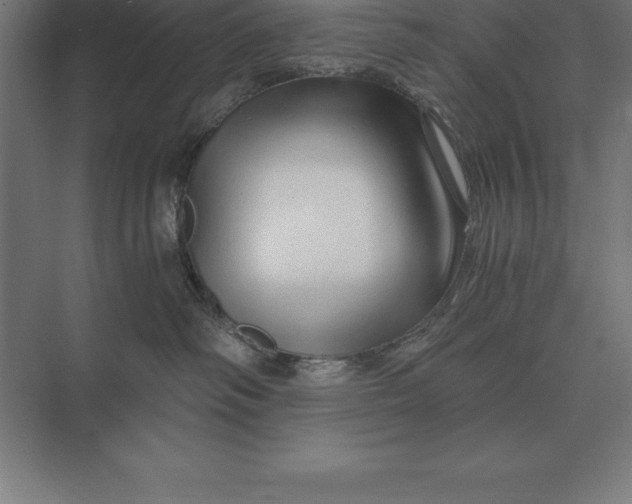 X0000073980334200609111814