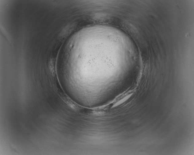 X0000073980335200609111814