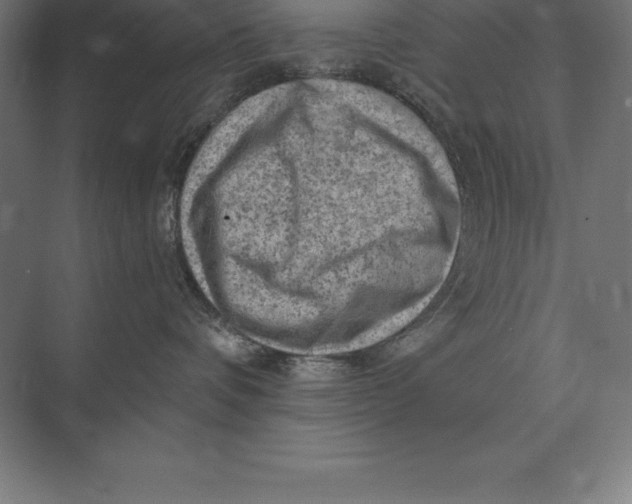 X0000073980336200609111814