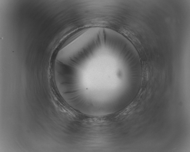 X0000073980338200609111813