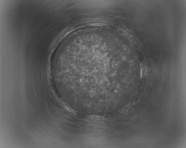 X0000073980339200609111813