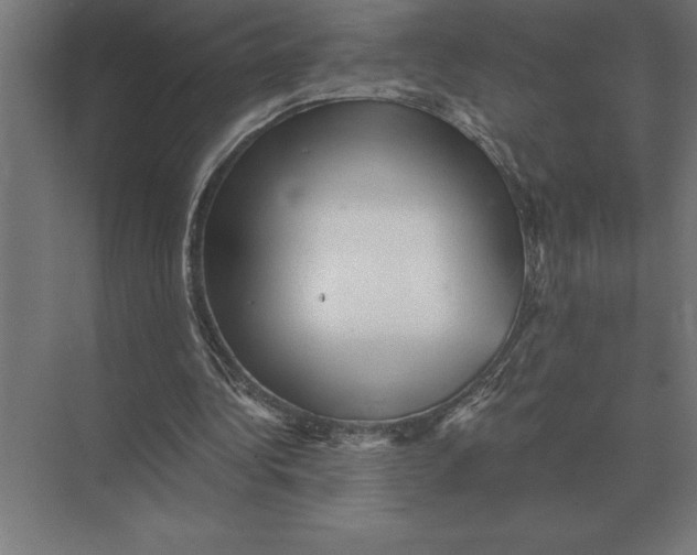 X0000073980340200609111813