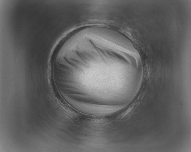 X0000073980342200609111813