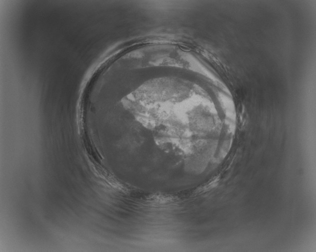 X0000073980343200609111813