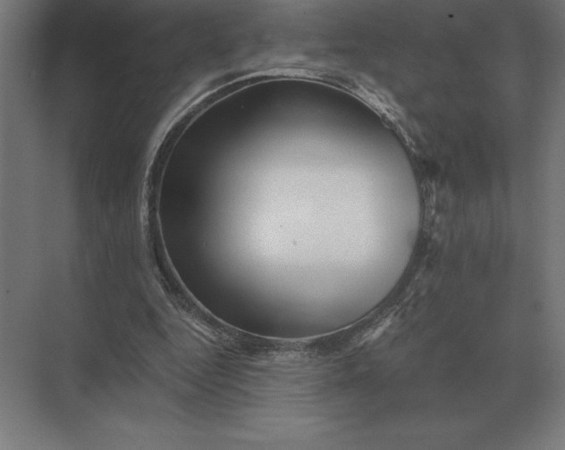 X0000073980344200609111813