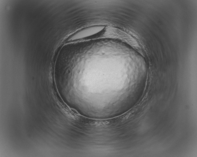 X0000073980345200609111813