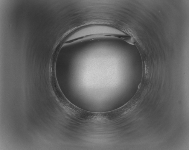 X0000073980348200609111813