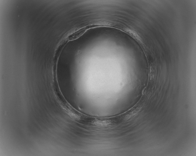 X0000073980349200609111814