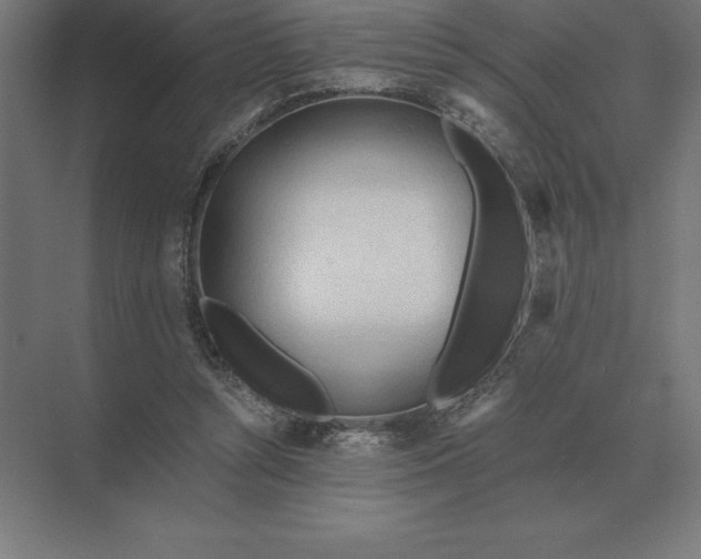 X0000073980352200609111814