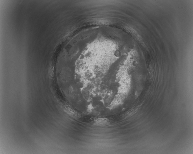 X0000073980355200609111814