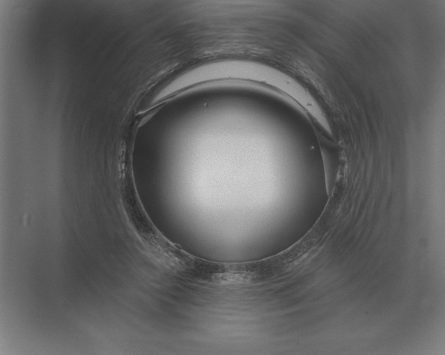 X0000073980356200609111814