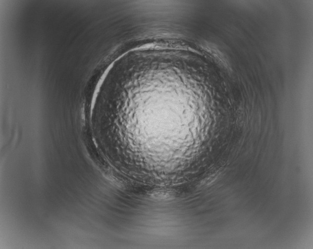 X0000073980358200609111814