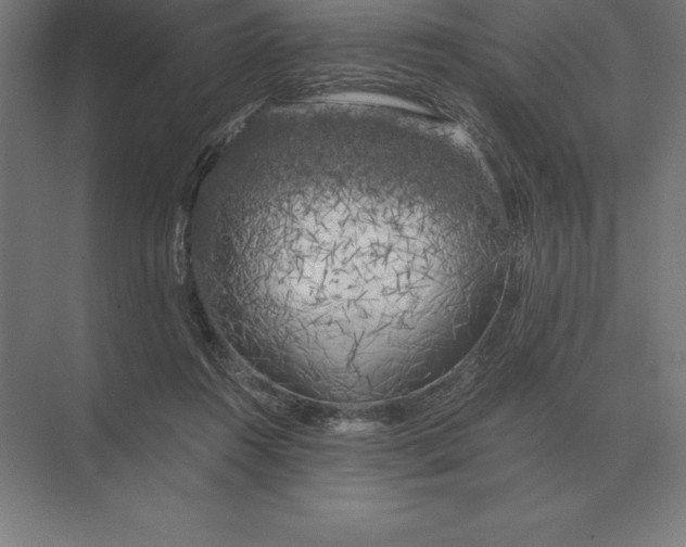 X0000073980360200609111814