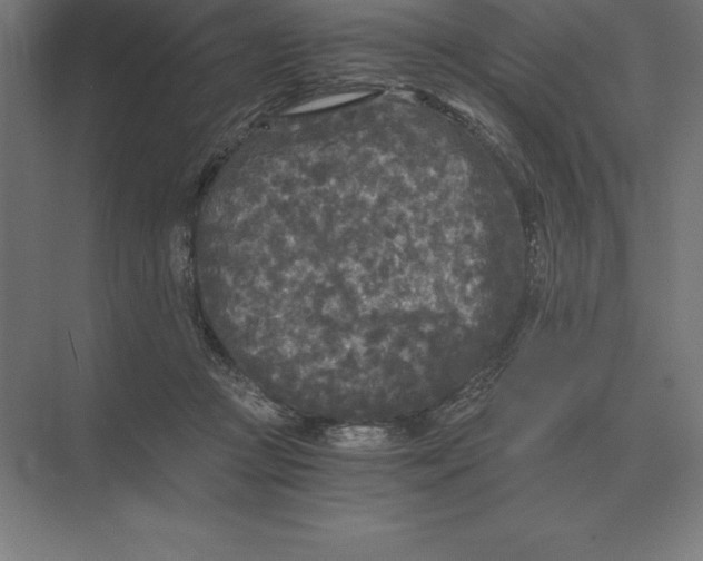 X0000073980361200609111814