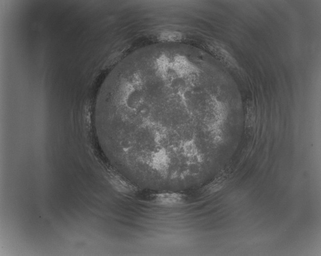 X0000073980363200609111814