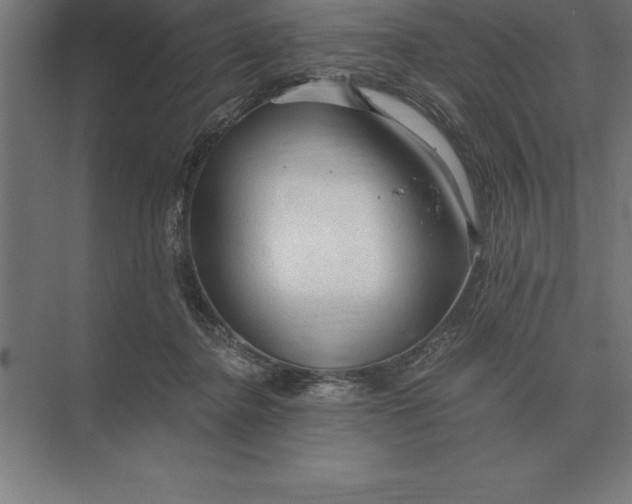 X0000073980364200609111814