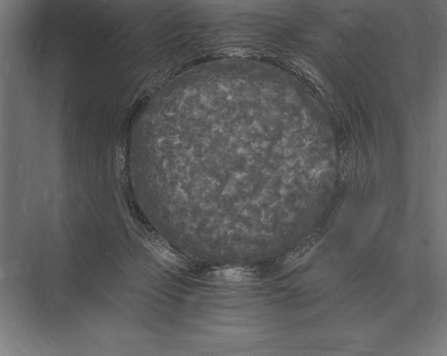 X0000073980365200609111814