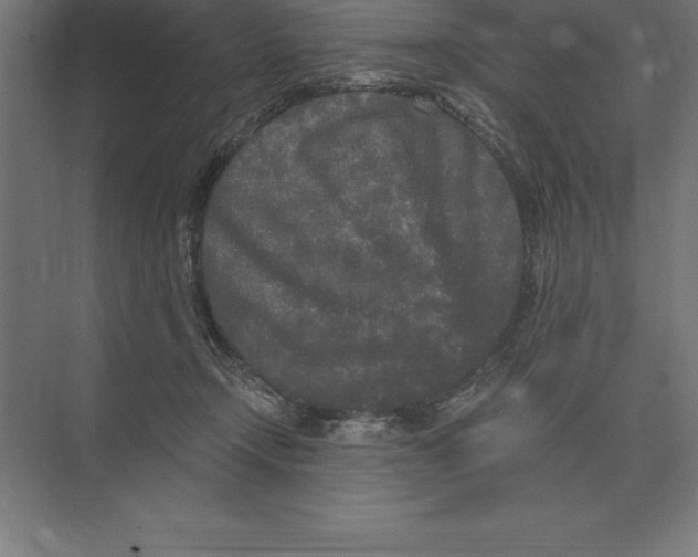 X0000073980366200609111814