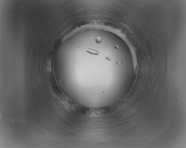 X0000073980368200609111814