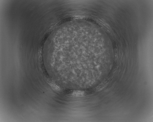 X0000073980369200609111814