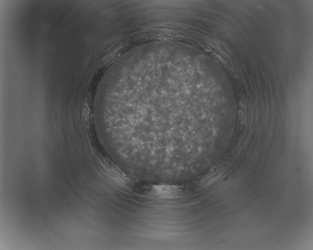 X0000073980371200609111814