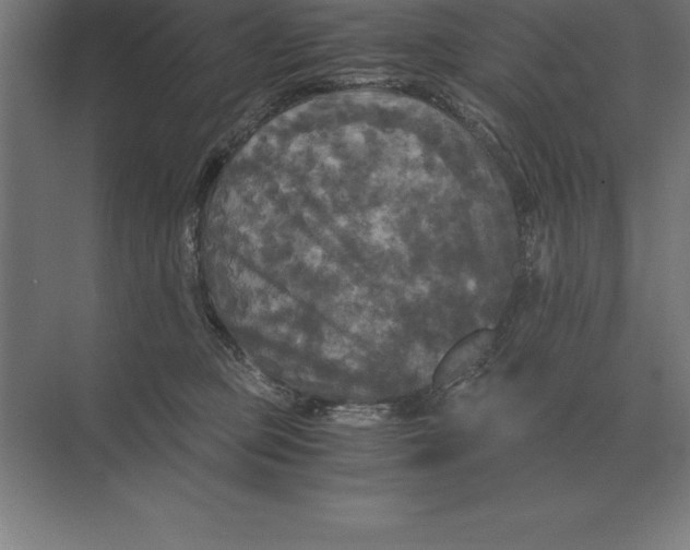 X0000073980373200609111814