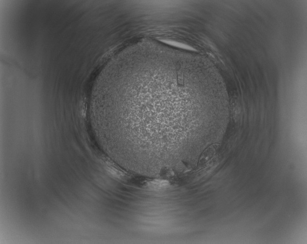 X0000073980374200609111814