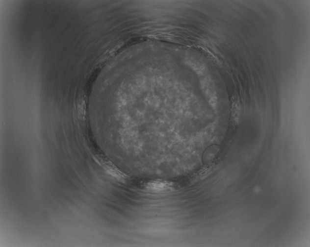 X0000073980375200609111814