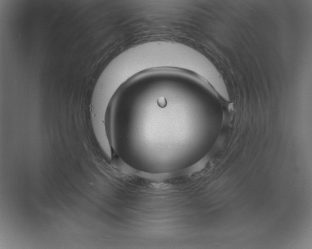 X0000073980376200609111814