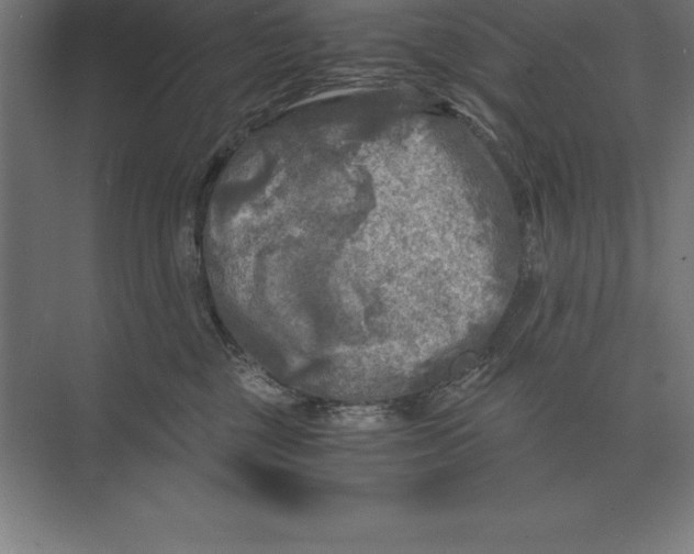 X0000073980377200609111814