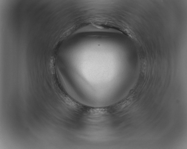 X0000073980378200609111814