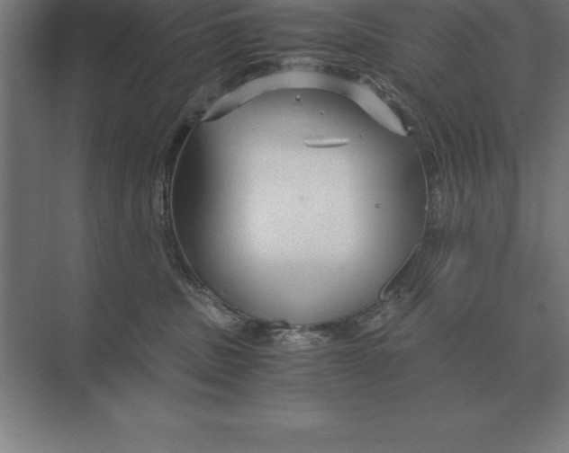 X0000073980379200609111814