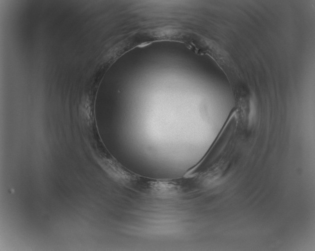 X0000073980380200609111814