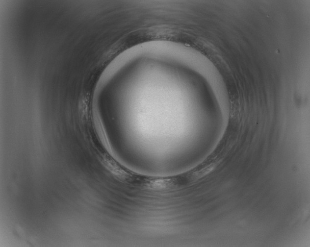 X0000073980382200609111814