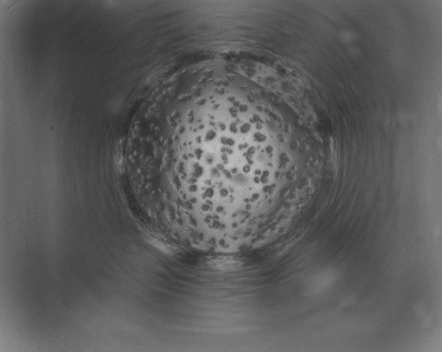 X0000073980383200609111814