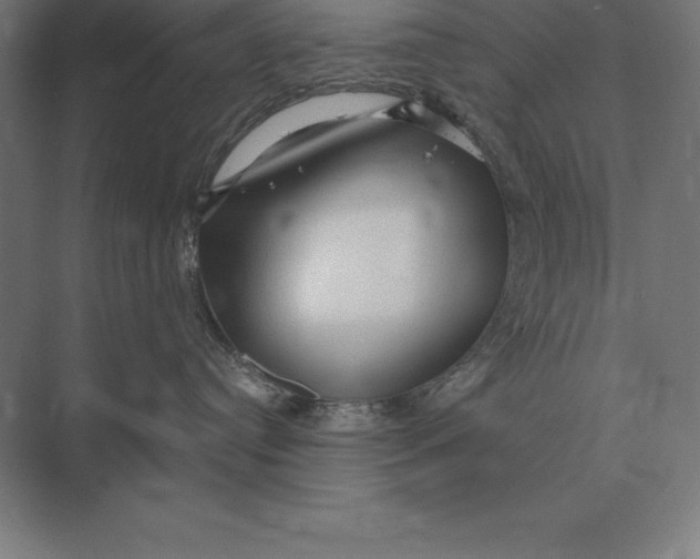 X0000073980384200609111814