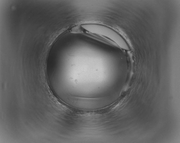 X0000073980385200609111813