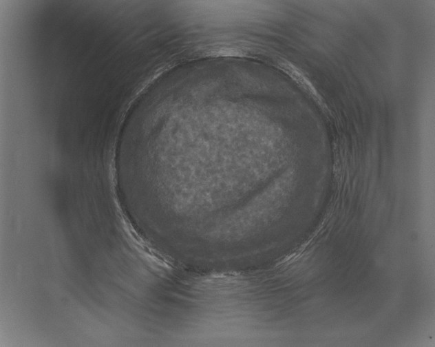 X0000073980386200609111813