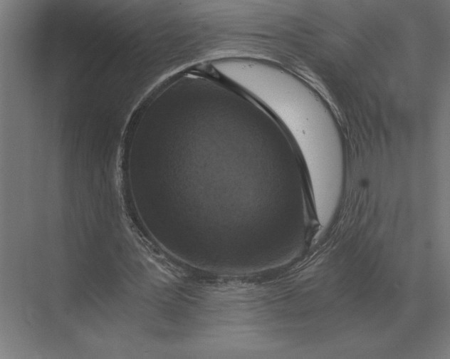 X0000073980387200609111813