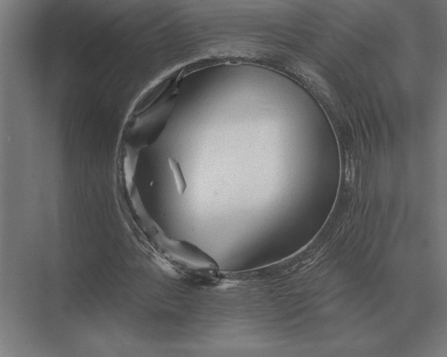 X0000073980388200609111813