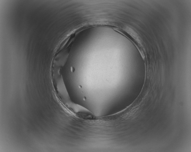 X0000073980389200609111813