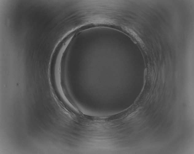 X0000073980391200609111813